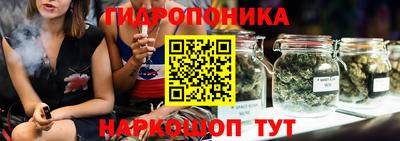 крисы Железногорск