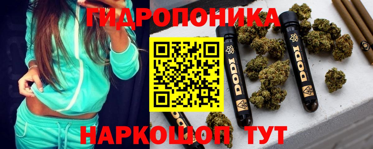 Шишки марихуана семена  Канабис сатива  Югорск  Конопля семена  Бошки Шишки планчик  Вход с VPN 